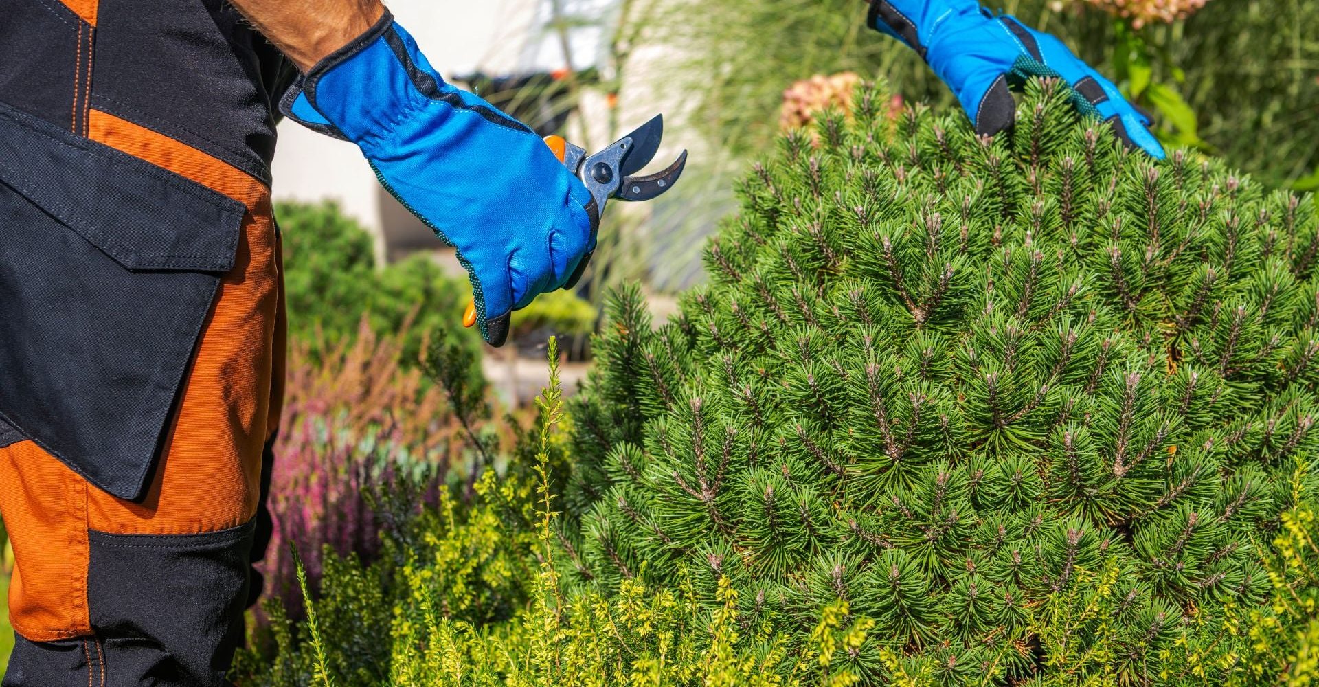 udrzba-zahrad-pro-vas-10