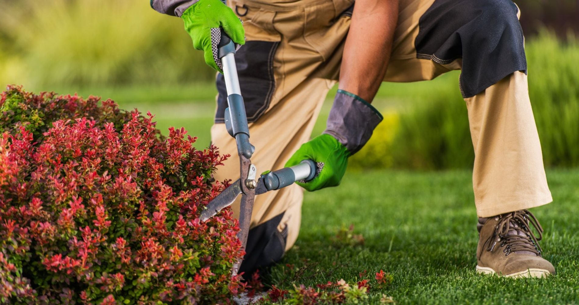 udrzba-zahrad-pro-vas-15
