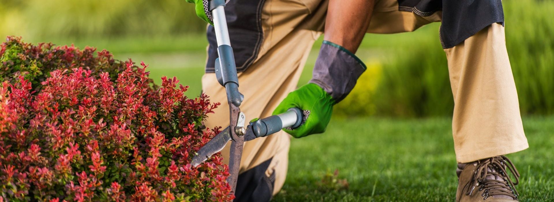 udrzba-zahrad-pro-vas-15