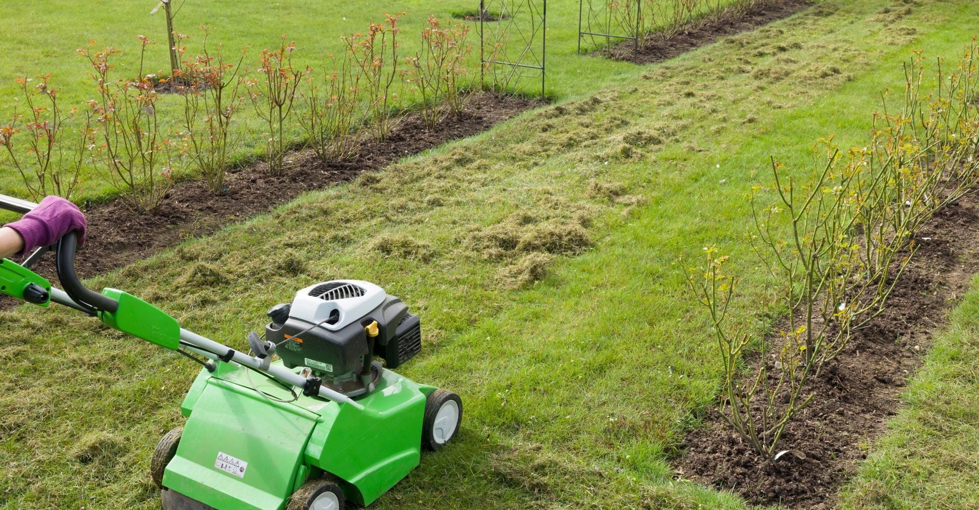 udrzba-zahrad-pro-vas-17