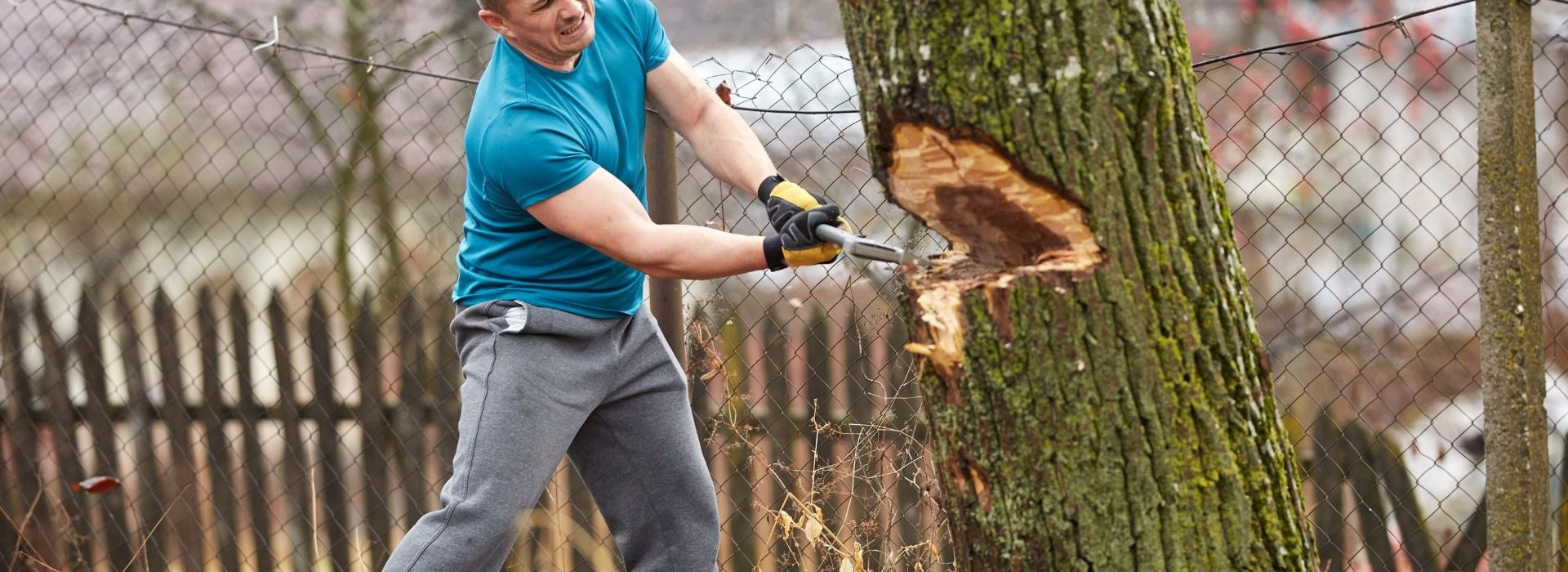 udrzba-zahrad-pro-vas-19