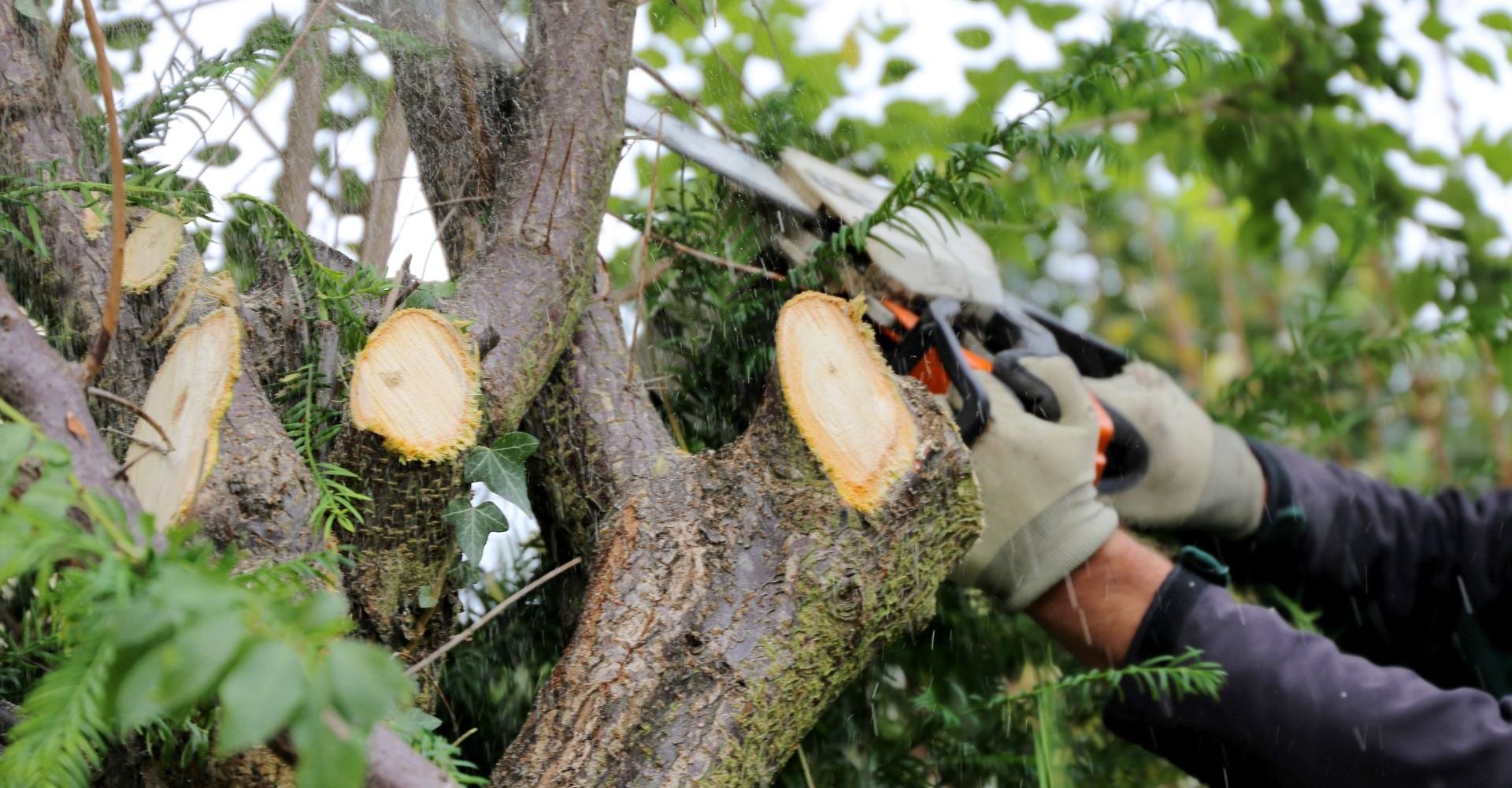 udrzba-zahrad-pro-vas-20