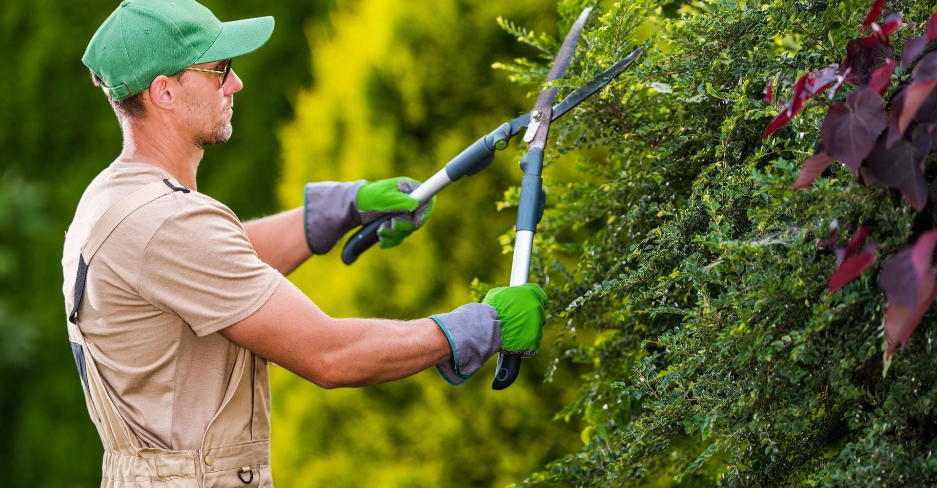 udrzba-zahrad-pro-vas-4